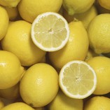 Citrus-Lemon-Tree-12M-tall-0-2