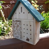 Insect-Hotel-Bug-House-Bee-Hotel-Insect-viewer-for-bees-ladybirds-butterflies-This-insect-house-is-ideal-for-bug-watching-and-a-great-bee-nester-0-0