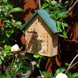Insect-Hotel-Bug-House-Bee-Hotel-Insect-viewer-for-bees-ladybirds-butterflies-This-insect-house-is-ideal-for-bug-watching-and-a-great-bee-nester-0-4