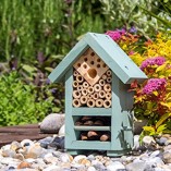 Educational-Bug-and-Bee-Biome-Habitat-in-Soft-Green-Colour-with-Wildflower-Seeds-and-Bee-Species-Guide-0