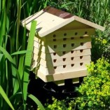 Solitary-Bee-Hive-PLUS-laminated-field-guide-to-British-bees-0