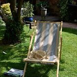Striped-Wooden-Deck-Chair-Chairs-Traditional-Folding-Sun-Lounger-Garden-Beach-Seaside-Cream-Blue-Stripe-0-5