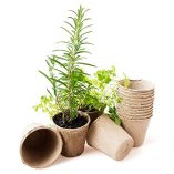 skycabin-8-cm-Round-Fibre-Plant-Pots-Garden-Planting-Biodegradable-Fibre-Seedling-Seedlings-Flowers-and-Vegetables-Organic-and-Eco-Friendly-Pack-of-48-0-3
